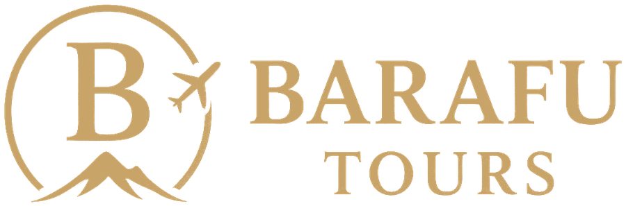 Barafu Tours