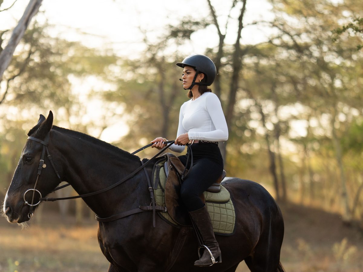 A rider walking a dark horse through the acacias