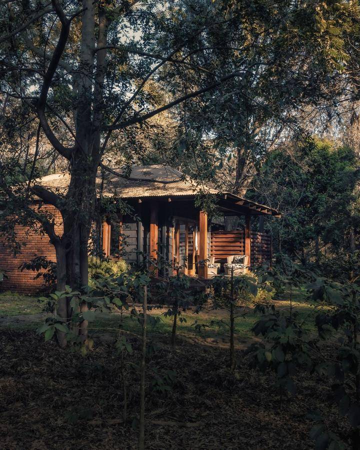A cottage in the trees at first light, Arusha