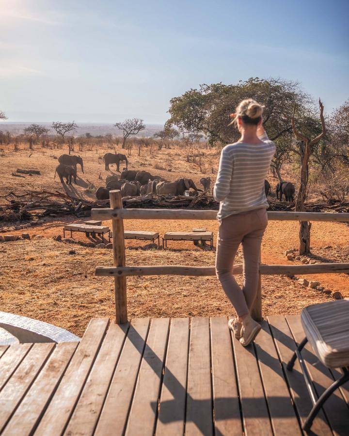Elephants at the waterhole, seen from the deck, Tarangire