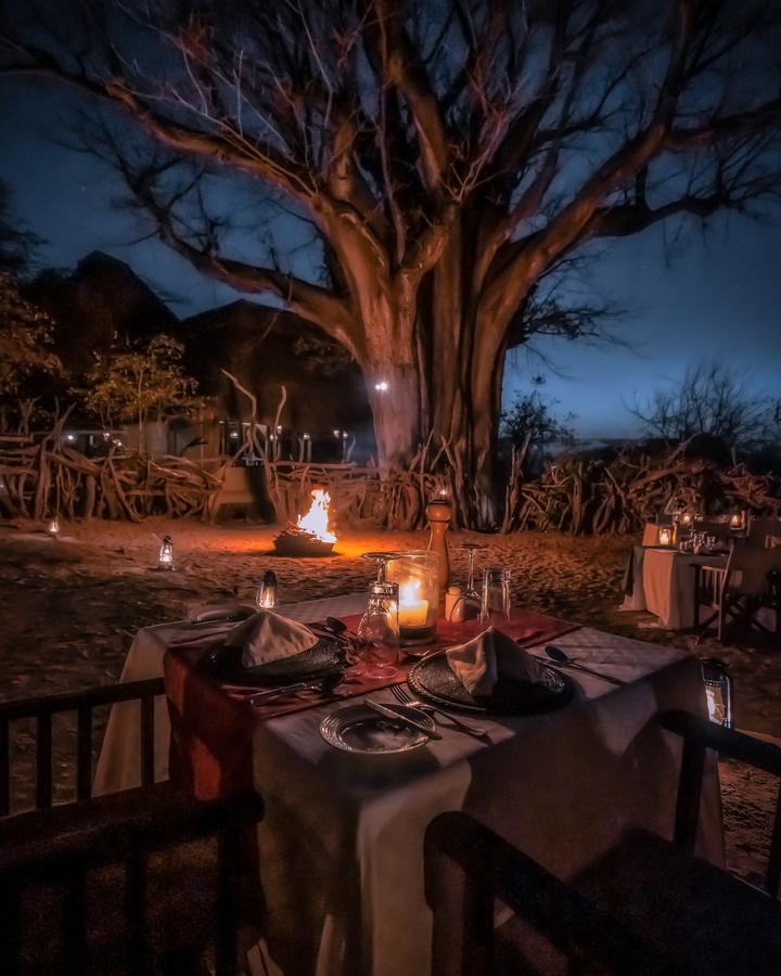 Dinner beneath a baobab, Tarangire