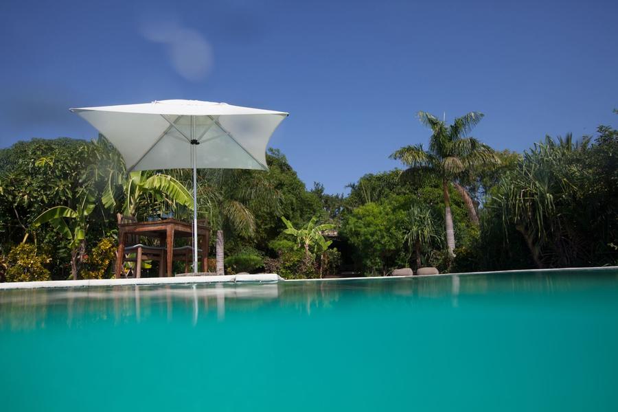 Turquoise water, palms, nobody else, Zanzibar, north-west coast