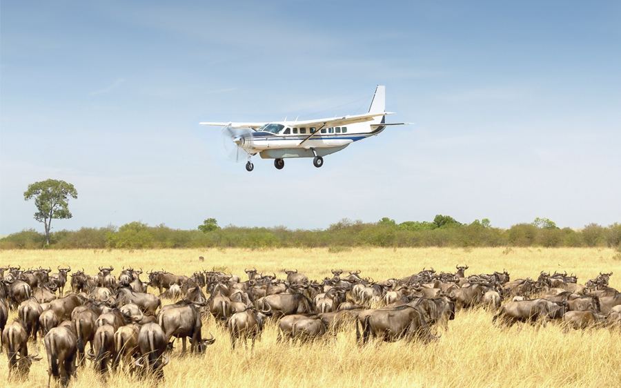 A bush plane over the Serengeti