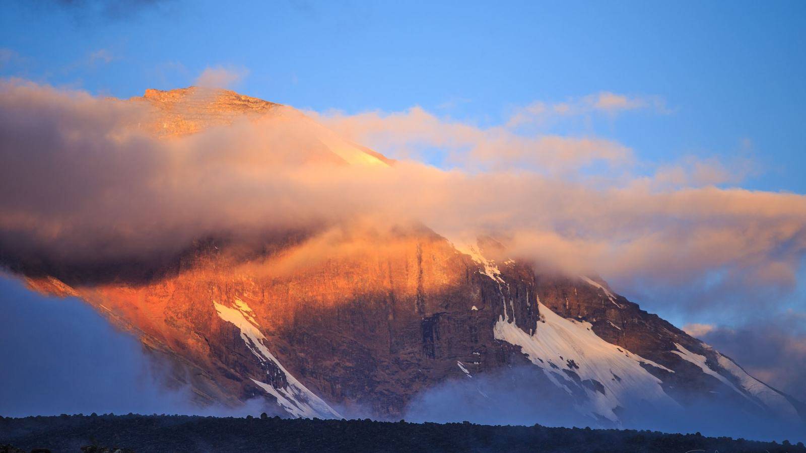 Kilimanjaro at dawn above the savanna