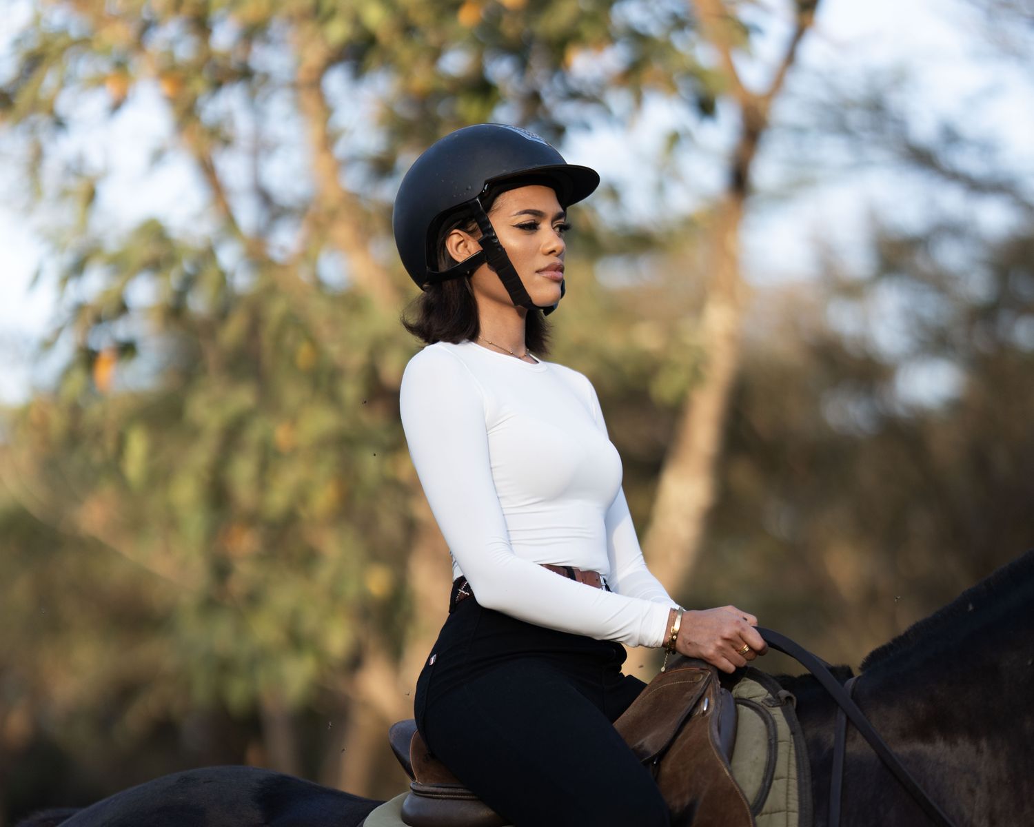 A rider on a dark horse among acacia trees in the evening light